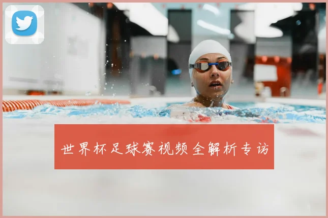 世界杯足球赛视频全解析专访