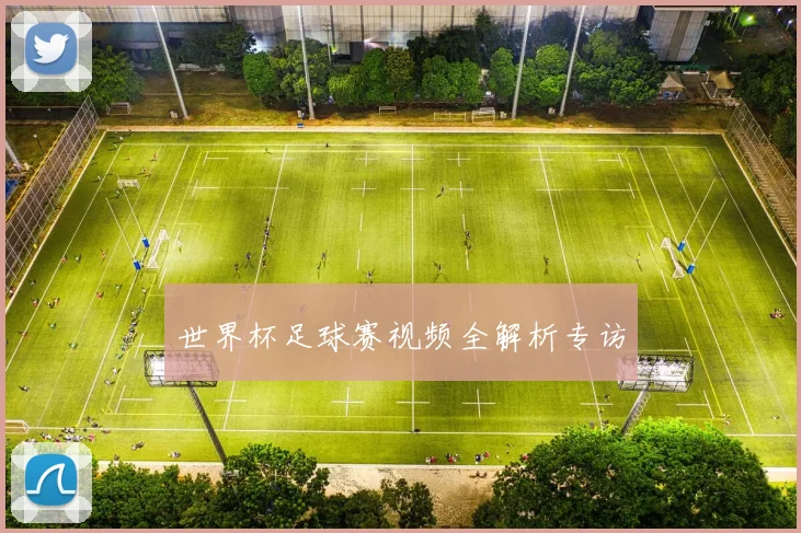 世界杯足球赛视频全解析专访