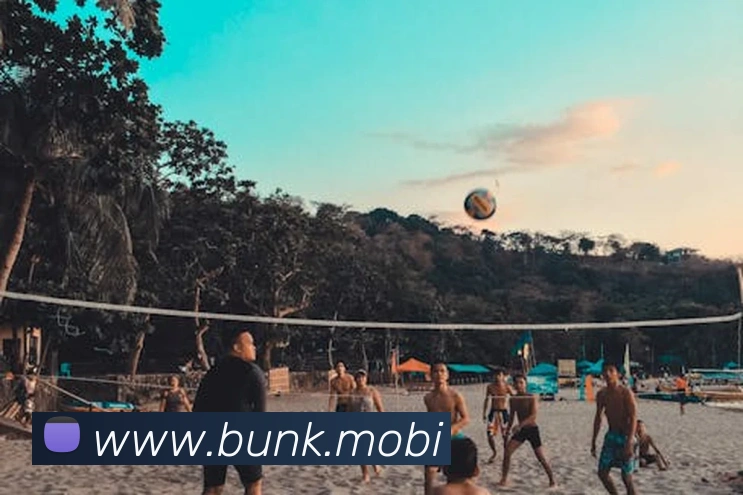 开云官方登陆入口发展历程